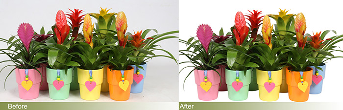 Product image editing 6